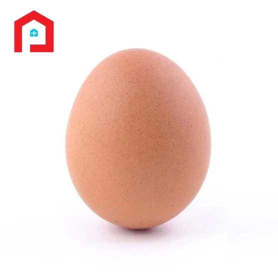 ডিম