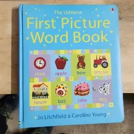 An Essential Picture Word Book 2 (Paperback)