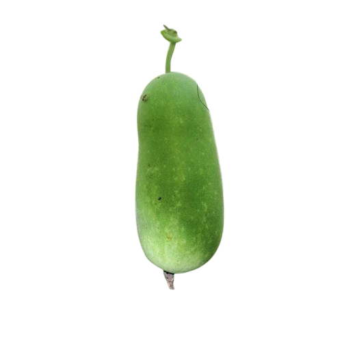 জালি লাউ