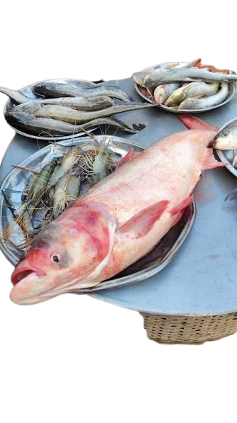 ব্রিগেট