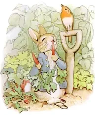 সংসদ চিলড্রেন'স ওয়ার্ড বুক-০ (পেপারব্যাক)