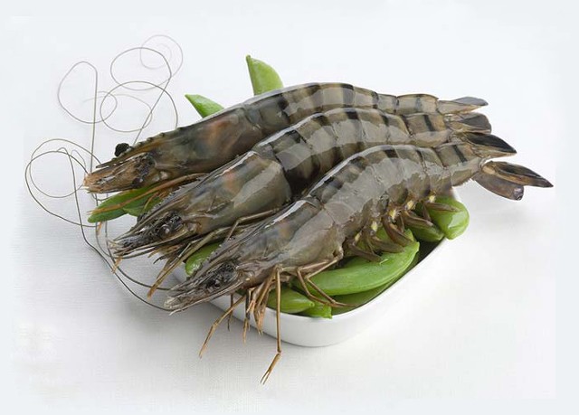 বাগদা চিংড়ি