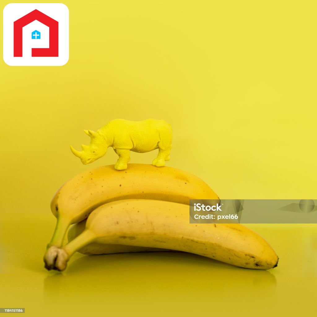 Banana Rhino