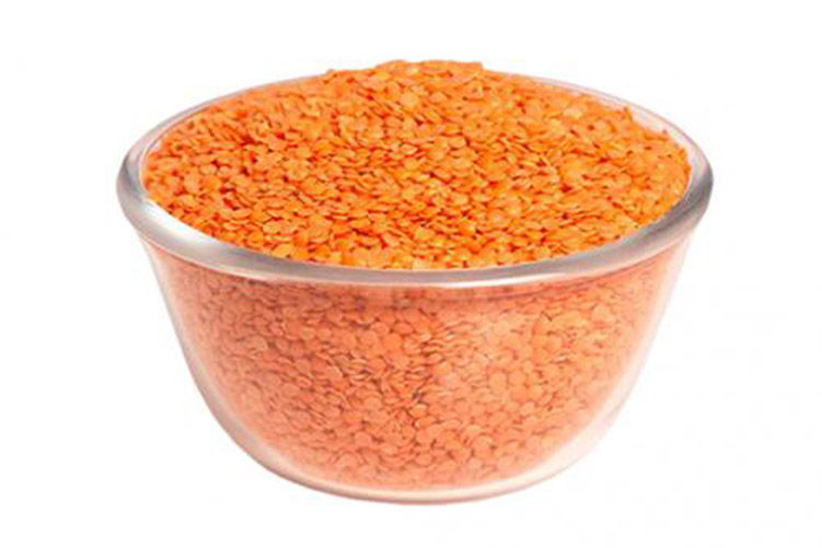 মসুর ডাল (ক্যাঙ্গারু)