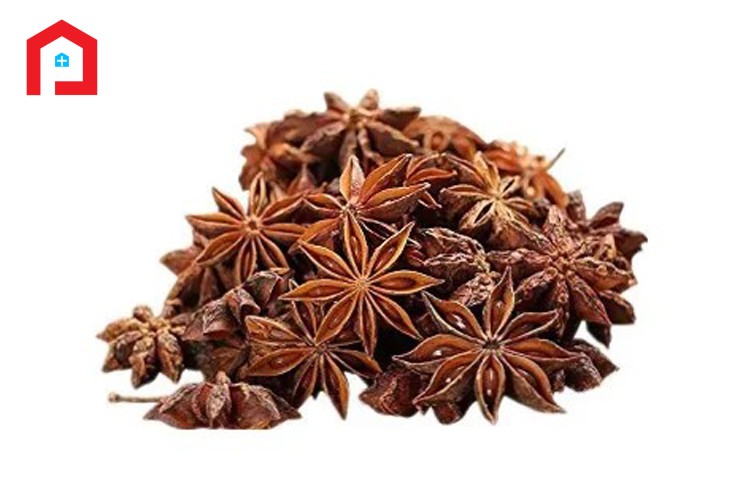 স্টার ফুল (STAR ANISE)