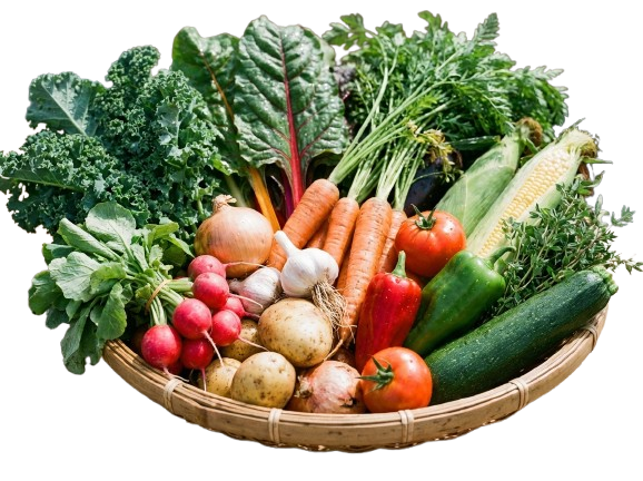 শাক/সবজি