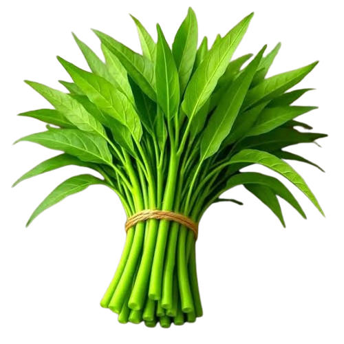 কলমি শাক