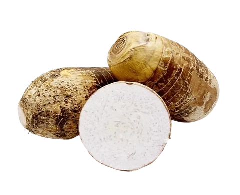 মুখী