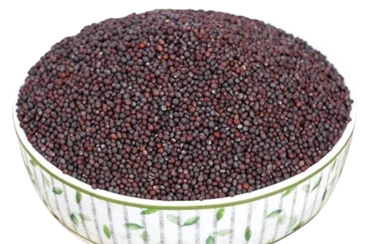 সরিষা দানা (Mustard Seed)