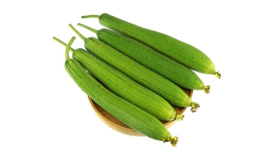 ধুন্দল