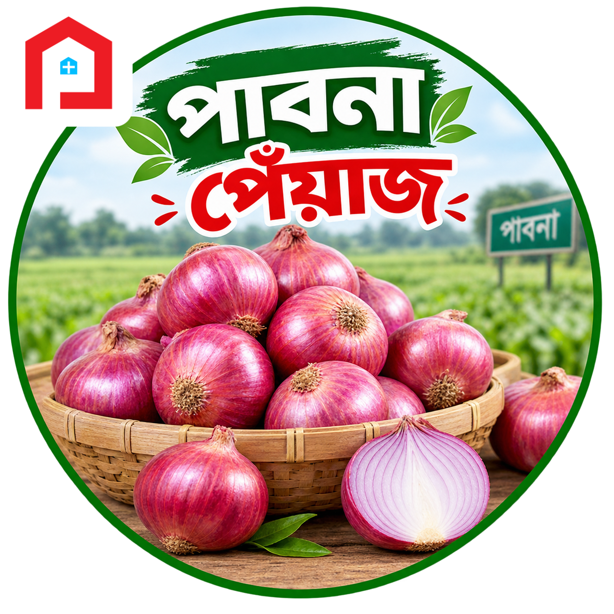 পাবনা পেঁয়াজ
