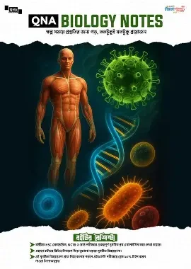 QNA HSC Biology Notes English Version (Paperback)