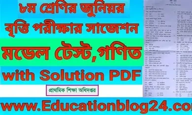 গণিত জুনিয়র বৃত্তি পরীক্ষা ২০২৫ সাজেশন ও মডেল টেস্ট - ৮ম শ্রেণি (পেপারব্যাক)