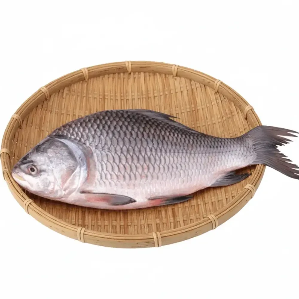 কাতলা মাছ