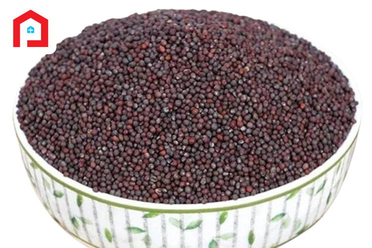 সরিষা দানা (MUSTARD SEED)