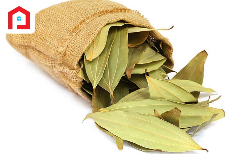তেজপাতা (BAY LEAF)