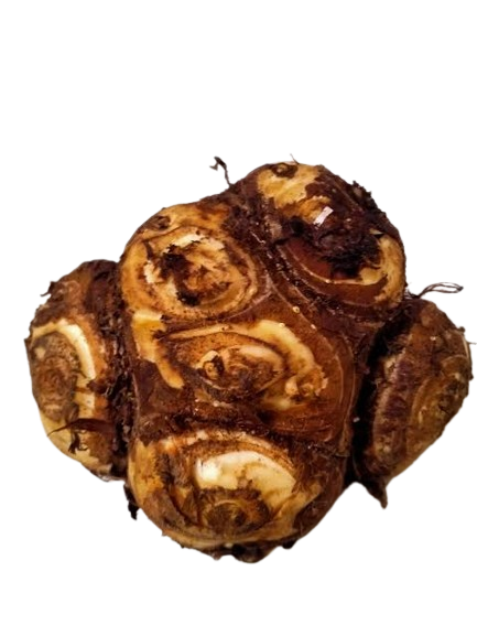 পঞ্চমুখী কচু