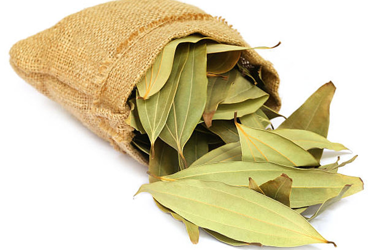 Bay Leaf