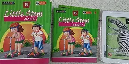 Idea's Little Steps (Paperback)