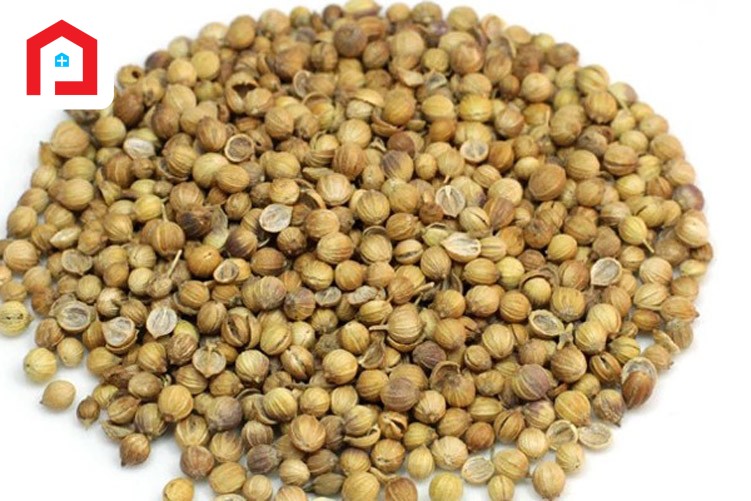 ধনিয়া (CORIANDER SEED)