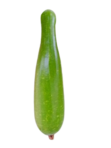 লম্বা লাউ