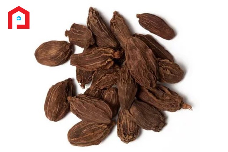 কালো এলাচ (BLACK CARDAMOM)