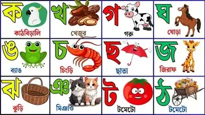 বাংলা বর্ণমালার ছড়া (পেপারব্যাক)