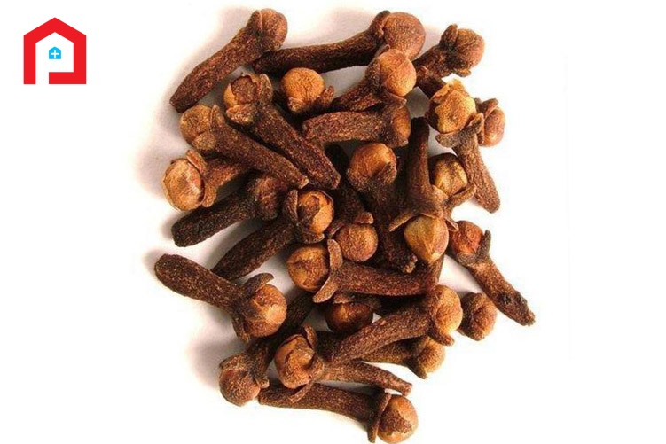 লবঙ্গ (CLOVE)